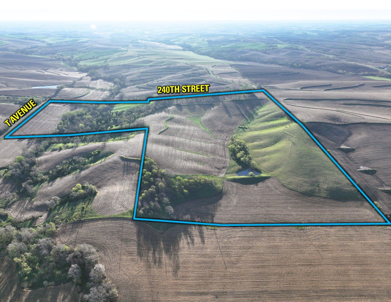 Listing Photo: Drone Outline W